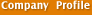 company profile